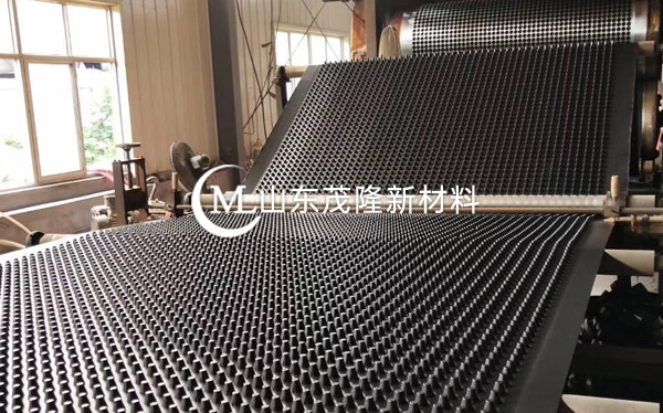 《網(wǎng)盛項目》無紡土工布、凹凸排水板施工