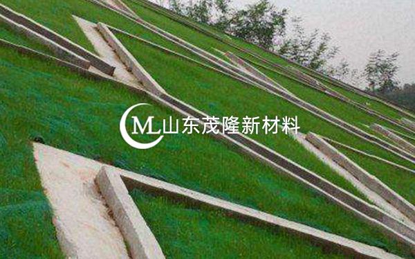 《都勻至安順公路項(xiàng)目》土工格柵、三維植被網(wǎng)施工