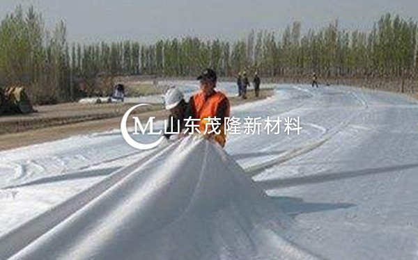 《河北省邯鄲園博園》土工布、排水板施工