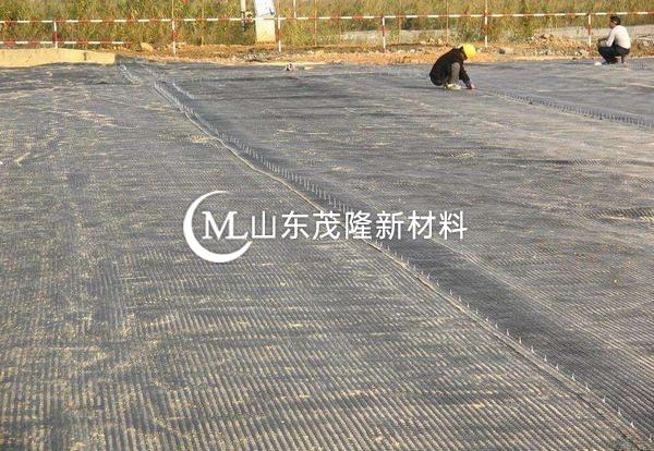 鋼塑土工格柵在修路工程中的應(yīng)用