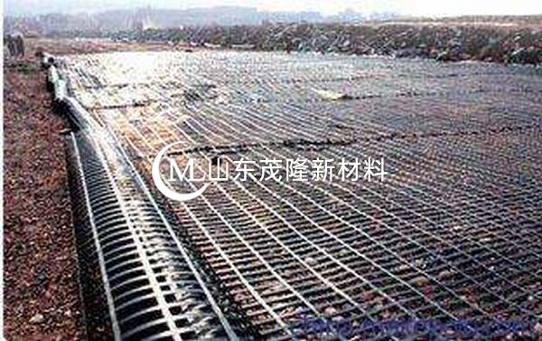 土工格柵為公路分擔(dān)了部分壓力