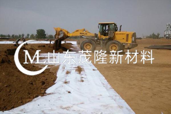 《唐河航運(yùn)項(xiàng)目》土工布施工